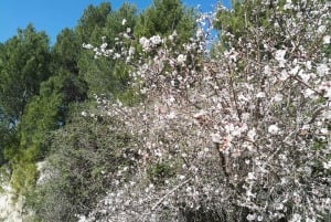 From Catania: Pantalica & Sortino Guided Tour