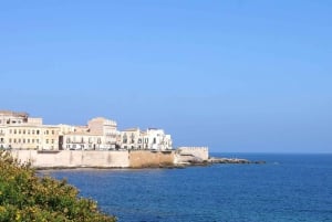 Från Catania: Syrakusa och Noto kultur- och historietur