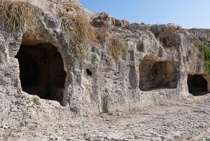 Från Catania: Syrakusa och Noto kultur- och historietur