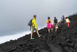 Fra Catania: fottur på Etna, lavagrotte og smakingstur