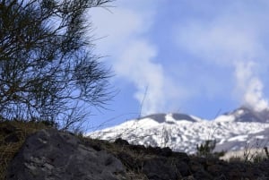 Fra Catania: fottur på Etna, lavagrotte og smakingstur