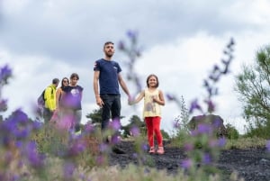 Fra Catania: fottur på Etna, lavagrotte og smakingstur