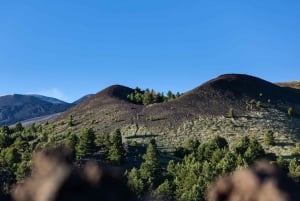 Fra Catania: fottur på Etna, lavagrotte og smakingstur