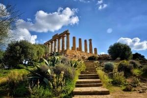 Vanuit Cefalù: Rondleiding naar Agrigento Vallei van de Tempels