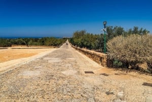 Z Cefalu: Wycieczka z przewodnikiem do Doliny Świątyń w Agrigento