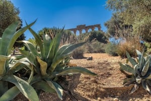 From Cefalù: Guided Tour to Agrigento Valley of the Temples