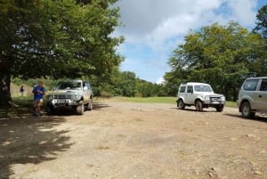 Fra Cesarò: Nebrodi Park med 4x4 halvdagsudflugt