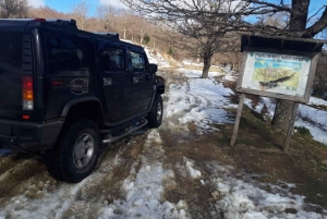 From Cesarò: Nebrodi Park - Hummer Tour