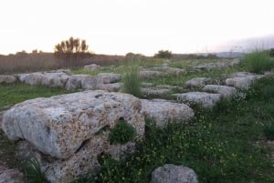 フェルラから：パンタリカのネクロポリスガイド付き日帰り旅行