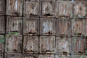 フェルラから：パンタリカのネクロポリスガイド付き日帰り旅行