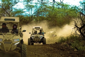 Vanuit Lamezia Terme: Buggy tour