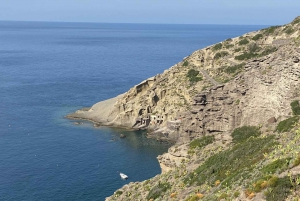 From Lipari: Boat Tour to Salina with Stops