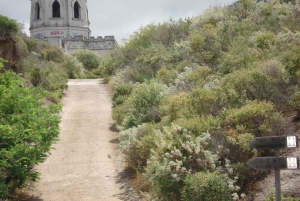 Из Липари: лодочный тур в Салину с остановками