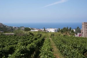 From Lipari: Island and Salina Full Day Sightseeing Cruise