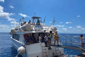 From Lipari: Island and Salina Full Day Sightseeing Cruise