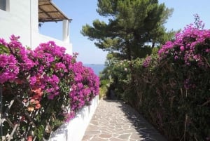 From Lipari: Panarea and Stromboli Cruise with Stops