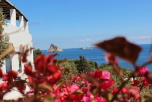 Liparilta: Panarea ja Stromboli kokopäivän veneretki
