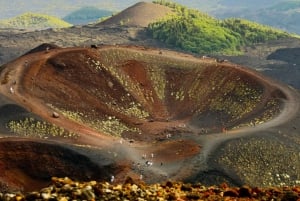 Fra Malta: Dagstur med guide til Etna og Syrakus