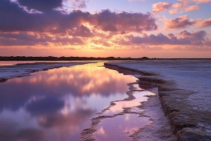 Из Марсалы: экскурсия на лодке по Эгадским островам с остановками для купания