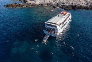 Favignana and Levanzo mini-cruise from Trapani with Lunch