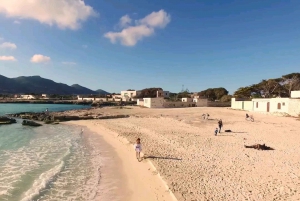 Favignana and Levanzo mini-cruise from Trapani with Lunch