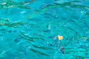 Z Mesyny: rejs wycieczkowy po Isola Bella i Taorminie