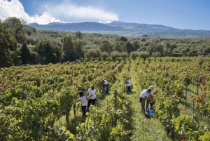 From Messina Day Tour To Etna Volcano, Winery and Taormina
