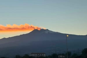 Из Мессины: поездка на Этну и в Таормину с дегустациями