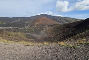 Из Мессины: поездка на Этну и в Таормину с дегустациями