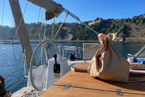 Desde Nápoles o Salerno: tour en velero de un día por el Cilento