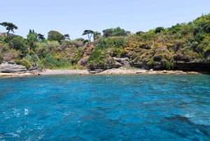 Desde Nápoles: traslado a Procida con tour en barco por la isla