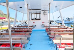 Desde Nápoles: traslado a Procida con tour en barco por la isla