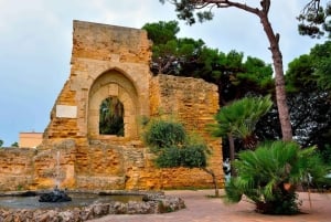 Desde Palermo: Visita al Parque Arqueológico de Selinunte y Mazara del Vallo
