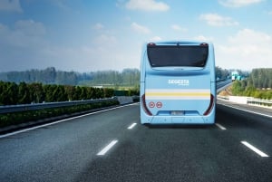 De Palerme : Transfert en bus vers/depuis le centre ville de Trapani