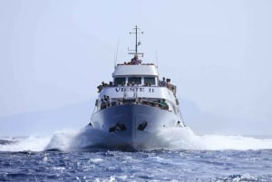 From Palermo: Daily Cruise to Favignana & Levanzo w/Lunch
