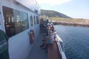 From Palermo: Daily Cruise to Favignana & Levanzo w/Lunch