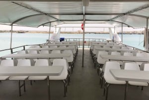 From Palermo: Daily Cruise to Favignana & Levanzo w/Lunch