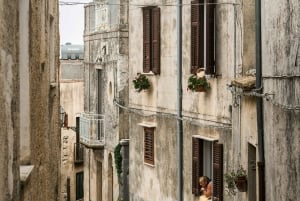 Desde Palermo: excursión de un día a Erice, Segesta y las Salinas