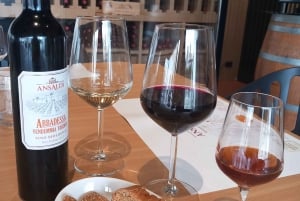 Z Palermo: jednodniowa wycieczka do Erice i Marsali z degustacją wina