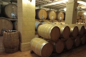 Palermosta: Erice ja Marsala päiväretki viininmaisteluineen