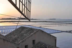 Från Palermo: Salt-, olivolje- och vinresa till Erice och Marsala