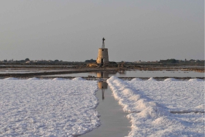 Från Palermo: Salt-, olivolje- och vinresa till Erice och Marsala