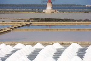 Från Palermo: Salt-, olivolje- och vinresa till Erice och Marsala