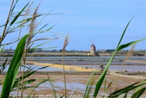 From Palermo: Erice & Marsala Salt, Olive Oil, and Wine Tour