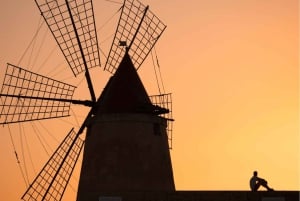 From Palermo: Erice & Marsala Salt, Olive Oil, and Wine Tour