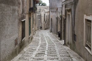 From Palermo: Erice, Salt Pans, and Segesta Day Trip