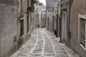 Vanuit Palermo: dagtrip Erice, zoutpannen en Segesta