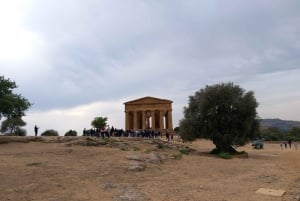 Agrigento: Valle dei Templi Guided Tour