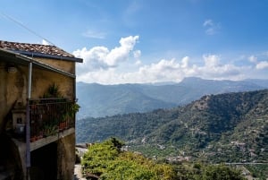 Från Palermo: Halvdagsutflykt till Corleone