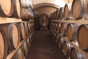 From Palermo: Private Tour & Sicilian Wine Tasting
